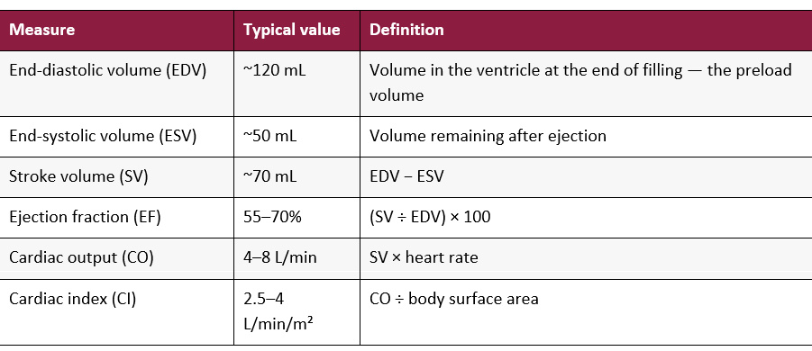 Volumes, stroke volume and cardiac output