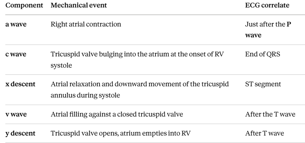 CVP-waveform-components