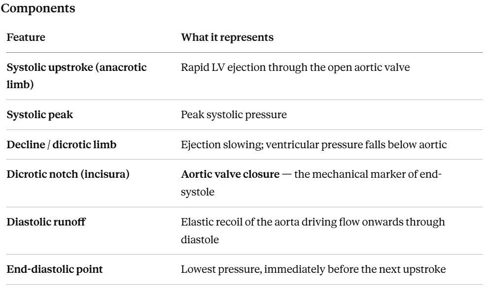 arterial waveform components