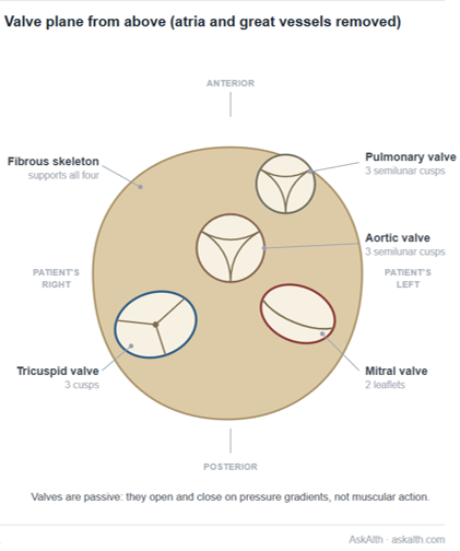 valve positions cross section