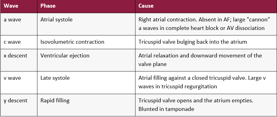 Correlating the cycle with the ECG<br srcset=