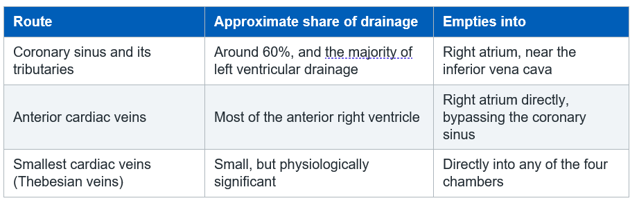 coronary veins