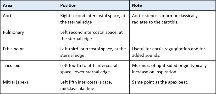 heart sounds anatomical positions for auscultation