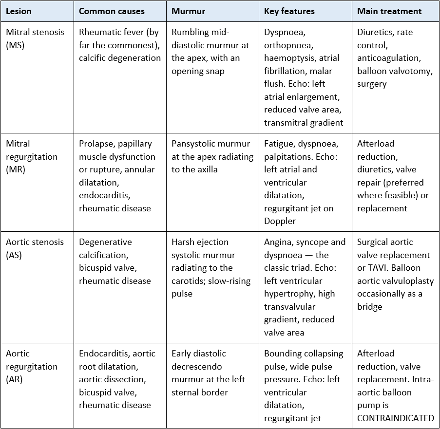 left sided heart valve lesions