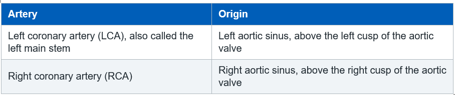 origins of coronary arteries
