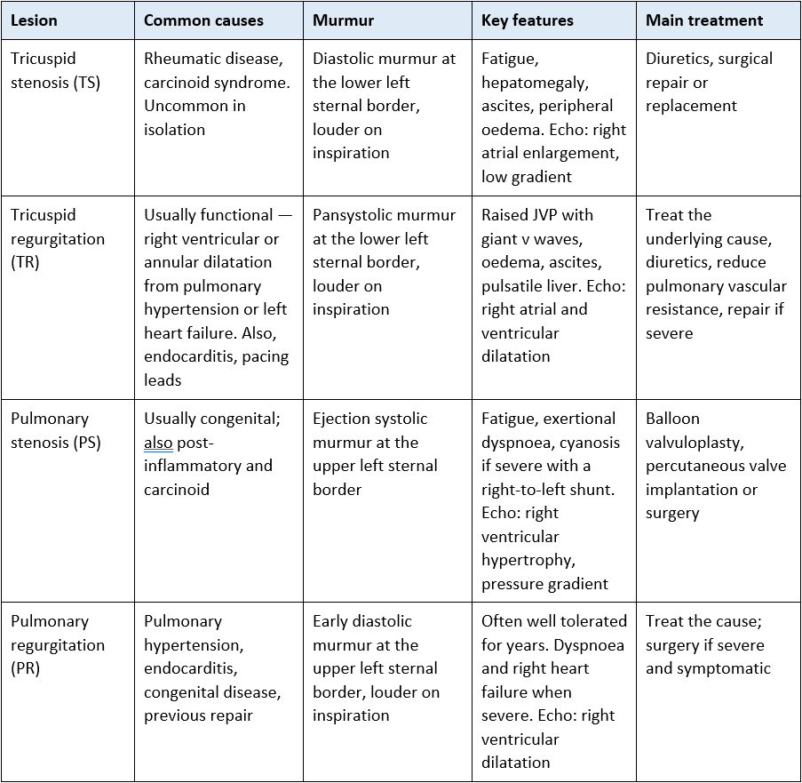 right sided heart lesions