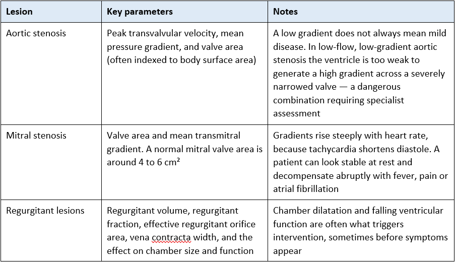 severity of heart valve lesions